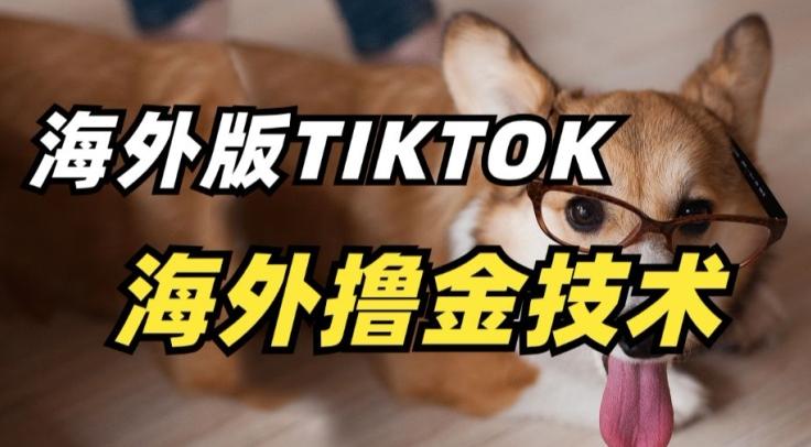 抖音海外版tiktok撸金技术，这个风口行业，赚钱真的不难【揭秘】-我爱自学网