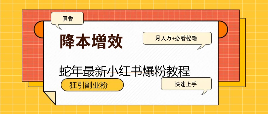 蛇年最新小红书爆粉教程，狂引副业粉，月入万+必看-我爱自学网
