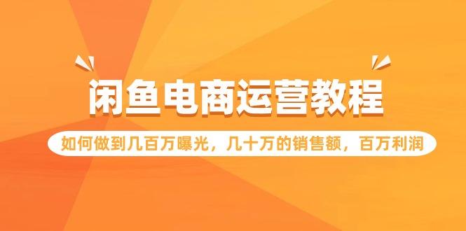 (9560期)闲鱼电商运营教程：如何做到几百万曝光，几十万的销售额，百万利润-我爱自学网