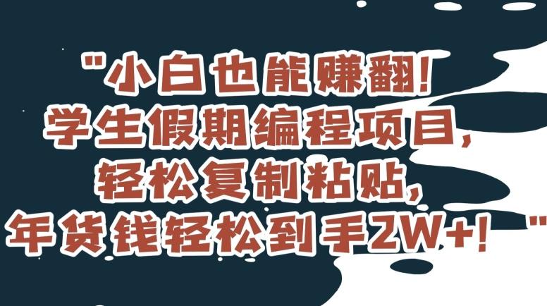 小白也能赚翻！学生假期编程项目，轻松复制粘贴，年货钱轻松到手2W+【揭秘】-我爱自学网