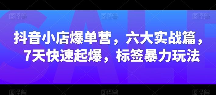抖音小店爆单营，六大实战篇，7天快速起爆，标签暴力玩法-我爱自学网
