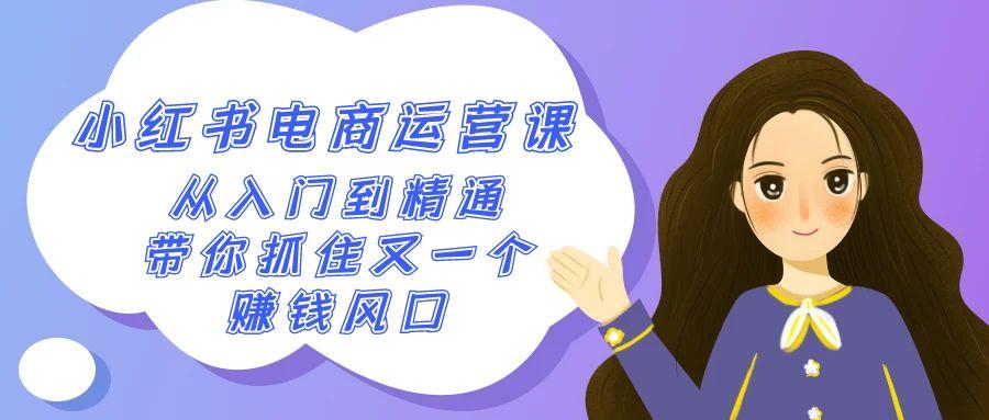 2024小红书-电商运营课，从入门到精通，带你抓住又一个赚钱风口(50节课)-我爱自学网