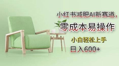小红书减肥AI新赛道，零成本易操作，日入多张，小白轻松上手【揭秘】-我爱自学网