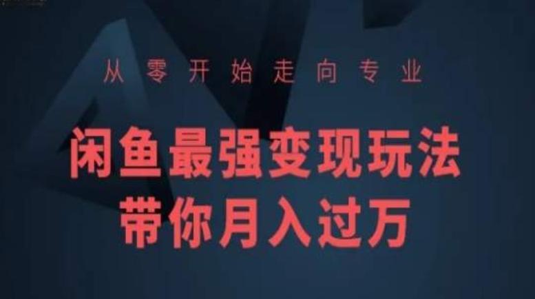从零开始走向专业，闲鱼最强变现玩法带你月入过万-我爱自学网
