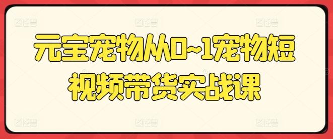 元宝宠物从0~1宠物短视频带货实战课-我爱自学网
