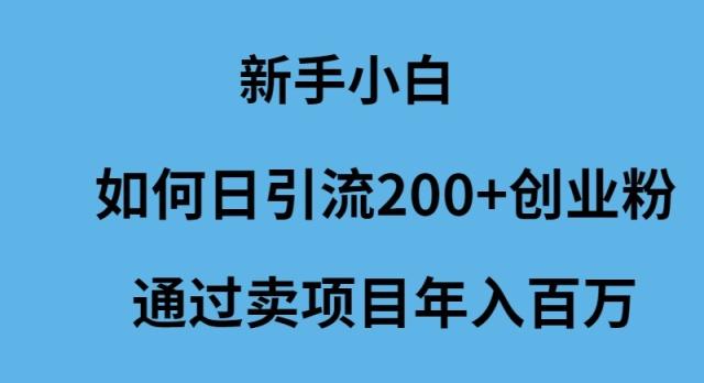 (9668期)新手小白如何日引流200+创业粉通过卖项目年入百万-我爱自学网