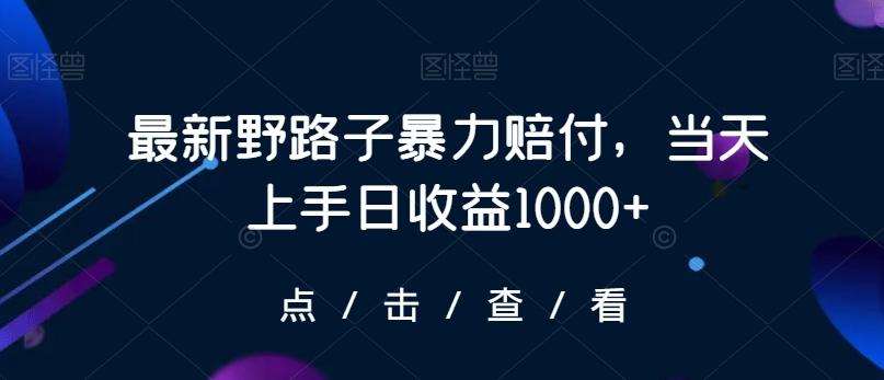 最新野路子暴力赔付，当天上手日收益1000+【仅揭秘】-我爱自学网