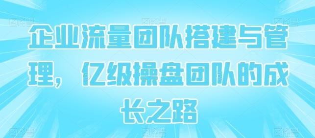 企业流量团队搭建与管理，亿级操盘团队的成长之路-我爱自学网
