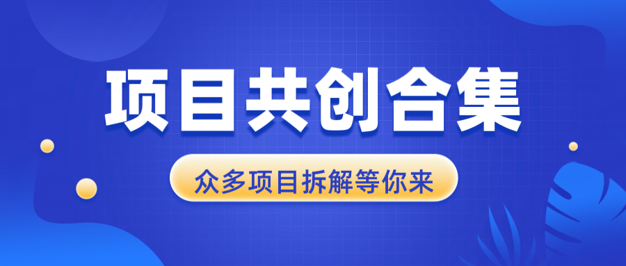 项目共创合集，从0-1全过程拆解，让你迅速找到适合自已的项目-我爱自学网