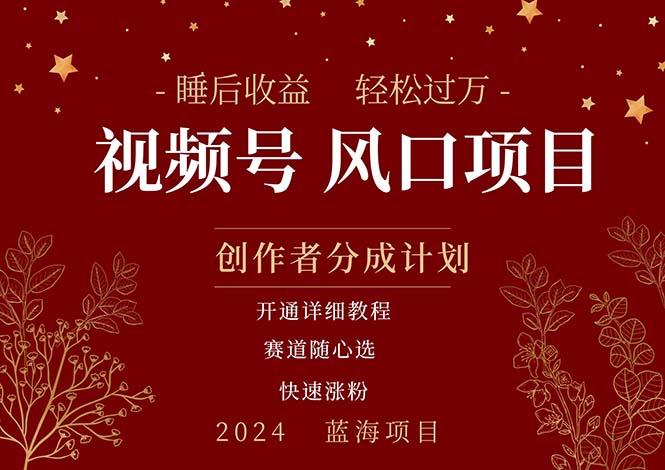 拥有睡眠收益的微信视频号大风口项目，轻松月入过万+，多赛道选择，可…-我爱自学网