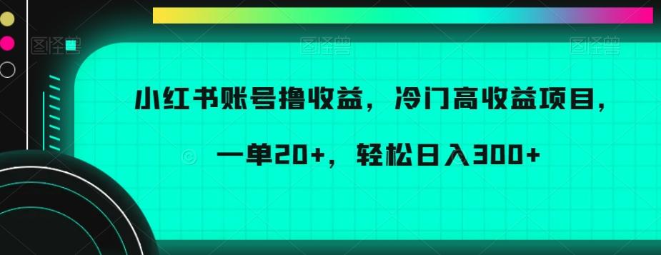 小红书账号撸收益，冷门高收益项目，一单20+，轻松日入300+【揭秘】-我爱自学网
