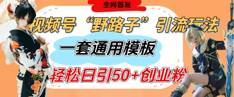 视频号“野路子”玩法，评论区疯狂截流，一套模板单日单号引流50+创业粉-我爱自学网