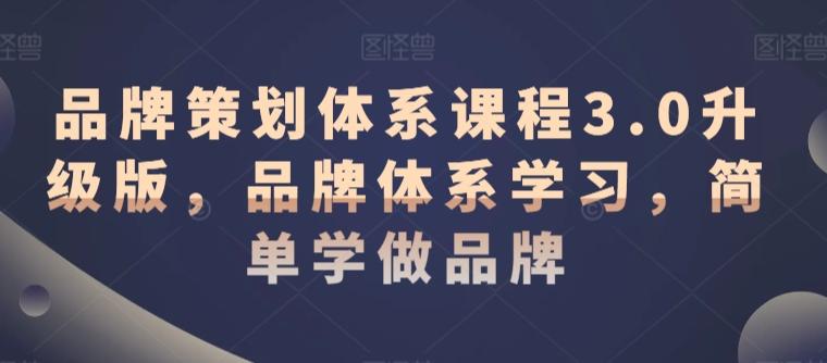 品牌策划体系课程3.0升级版，品牌体系学习，简单学做品牌-我爱自学网
