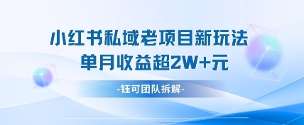 小红书私域项目新玩法，单月变现过W+-我爱自学网
