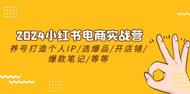 2024小红书电商实战营，养号打造IP/选爆品/开店铺/爆款笔记/等等(24节)-我爱自学网