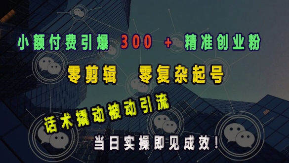 小额付费引爆 300 + 精准创业粉，零剪辑、零复杂起号，话术撬动被动引流，当日实操即见成效-我爱自学网