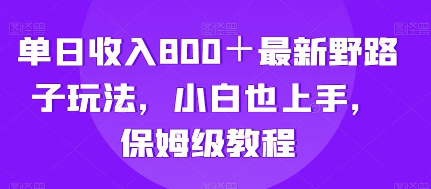 单日收入800＋最新野路子玩法，小白也上手，保姆级教程-我爱自学网