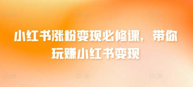 小红书涨粉变现必修课，带你玩赚小红书变现-我爱自学网