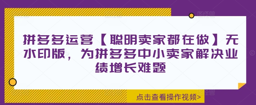 拼多多运营【聪明卖家都在做】无水印版，为拼多多中小卖家解决业绩增长难题-我爱自学网