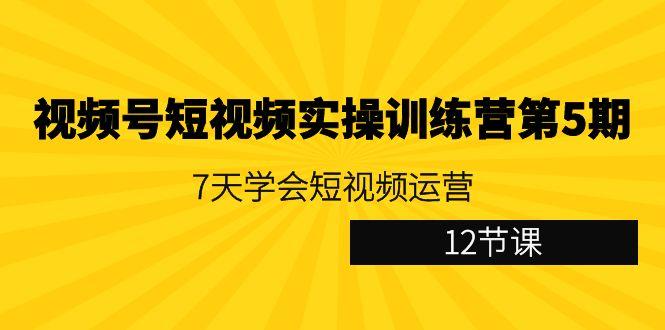 视频号短视频实操训练营第5期：7天学会短视频运营(12节课)-我爱自学网
