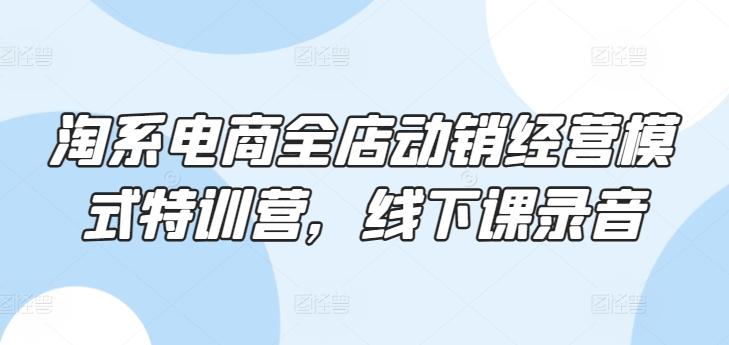 淘系电商全店动销经营模式特训营，线下课录音-我爱自学网