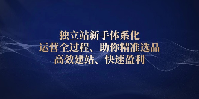 独立站新手体系化 运营全过程，助你精准选品、高效建站、快速盈利-我爱自学网