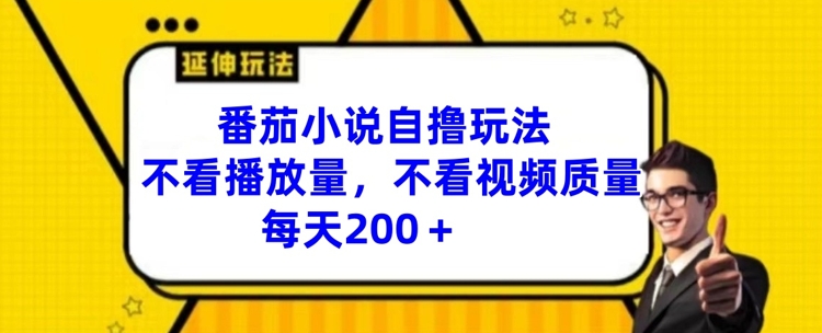 番茄小说自撸玩法，不看播放量，不看视频质量，每天200+【揭秘】-我爱自学网
