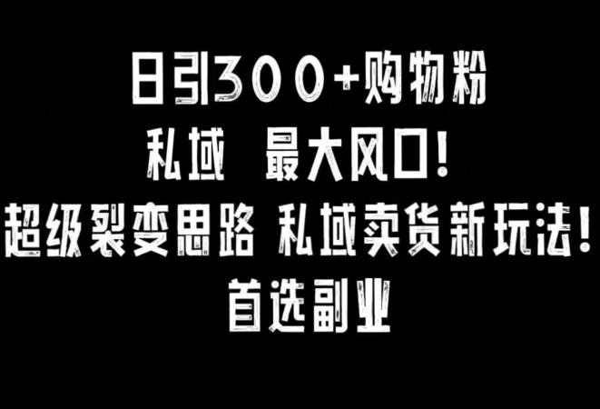 日引300+购物粉，超级裂变思路，私域卖货新玩法，小红书首选副业【揭秘】-我爱自学网