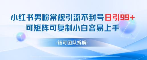 小红书男粉常规引流不封号日引99+变现简单 可矩阵可复制小白容易上手-我爱自学网