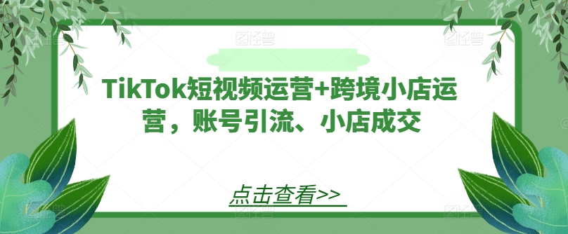 TikTok短视频运营+跨境小店运营，账号引流、小店成交-我爱自学网