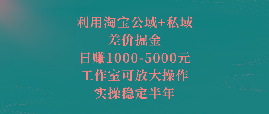 利用淘宝公域+私域差价掘金，日赚1000-5000元，工作室可放大操作，实操…-我爱自学网