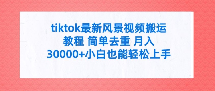 tiktok最新风景视频搬运教程 简单去重 月入3W+小白也能轻松上手【揭秘】-我爱自学网