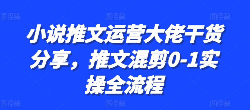 小说推文运营大佬干货分享，推文混剪0-1实操全流程-我爱自学网