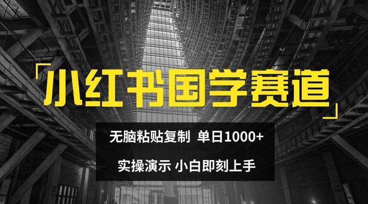 小红书国学赛道，无脑粘贴复制，单日1K，实操演示，小白即刻上手【揭秘】-我爱自学网