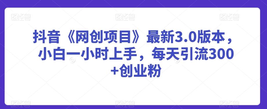 抖音《网创项目》最新3.0版本，小白一小时上手，每天引流300+创业粉【揭秘】-我爱自学网