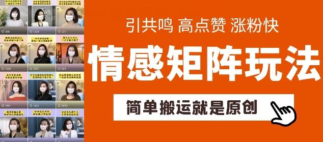 简单搬运，情感矩阵玩法，涨粉速度快，可带货，可起号【揭秘】-我爱自学网
