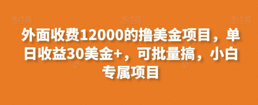 外面收费12000的撸美金项目，单日收益30美金+，可批量搞，小白专属项目-我爱自学网