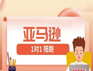 亚马逊1对1陪跑课(FBA/FBM精铺)跨境亚马逊教程-我爱自学网