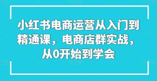 小红书电商运营从入门到精通课，电商店群实战，从0开始到学会-我爱自学网