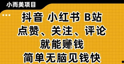 小而美的项目，抖音小红书B站视频点赞、关注、评论就能挣钱，简单无脑立见收益，妥妥的零撸项目【揭秘】-我爱自学网