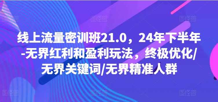 线上流量密训班21.0，24年下半年-无界红利和盈利玩法，终极优化/无界关键词/无界精准人群-我爱自学网