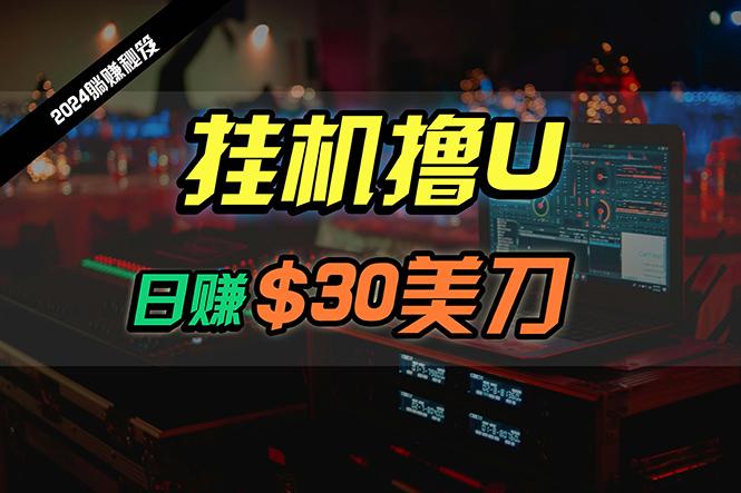 (10013期)日赚30美刀，2024最新海外挂机撸U内部项目，全程无人值守，可批量放大-我爱自学网