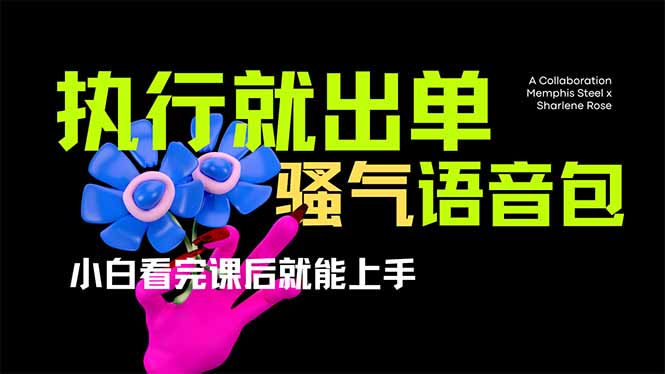 爆火全网的开车导航骚气语音包,只要执行就出单，小白看完课程就能实操…-我爱自学网