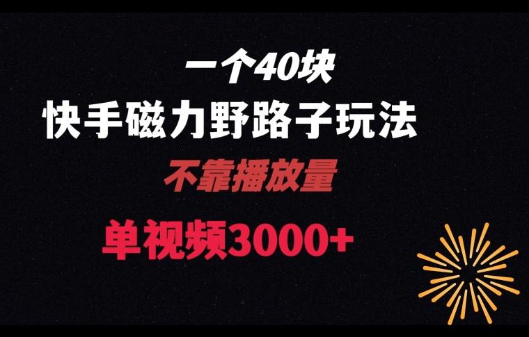 一个40块，快手联合美团磁力新玩法，无视机制野路子玩法，单视频收益4位数【揭秘】-我爱自学网