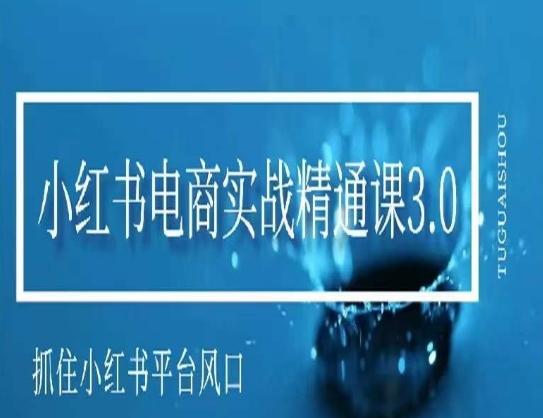 小红书电商实战精通课3.0，抓住小红书平台的风口，不错过有一个赚钱的机会-我爱自学网
