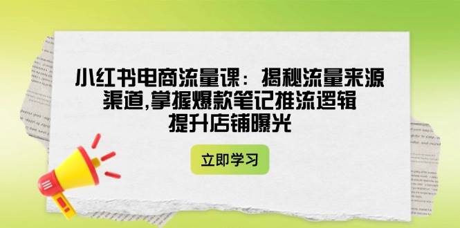 小红书电商流量课：揭秘流量来源渠道,掌握爆款笔记推流逻辑,提升店铺曝光-我爱自学网