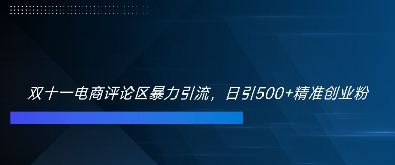 双十一电商评论区暴力引流，日引500+精准创业粉【揭秘】-我爱自学网