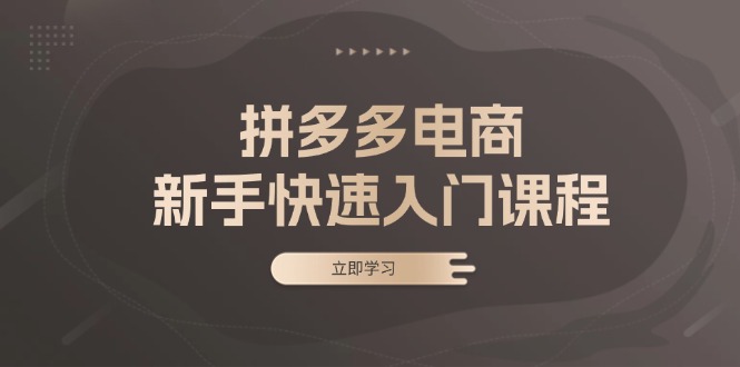 拼多多电商新手快速入门课程：涵盖基础、实战与选款，助力小白轻松上手-我爱自学网