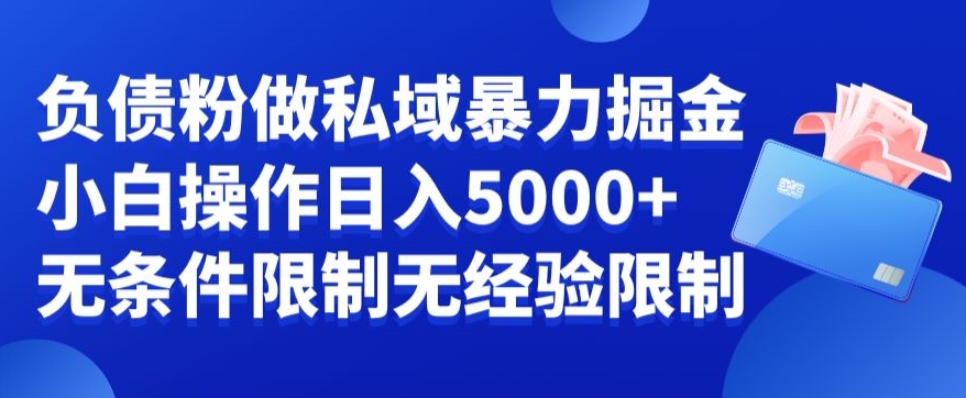 负债粉私域暴力掘金，小白操作入5000，无经验限制，无条件限制【揭秘】-我爱自学网