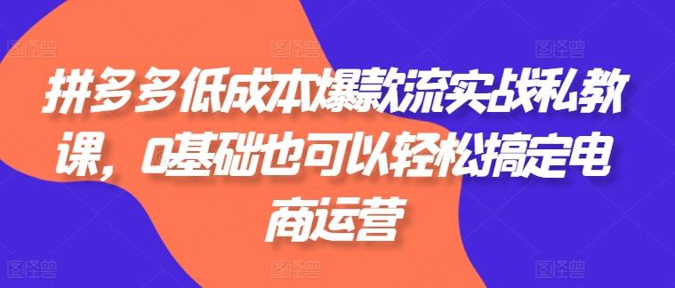 拼多多低成本爆款流实战私教课，0基础也可以轻松搞定电商运营-我爱自学网
